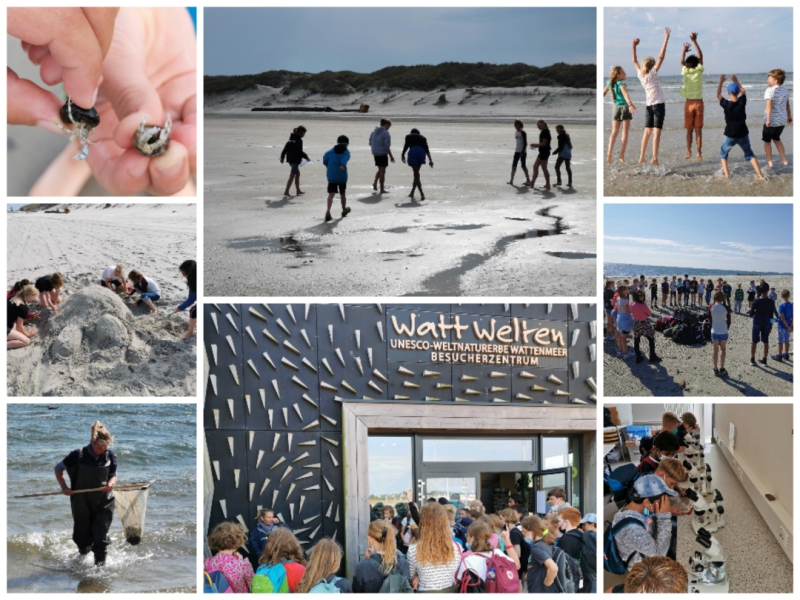 Norderney_Collage 1